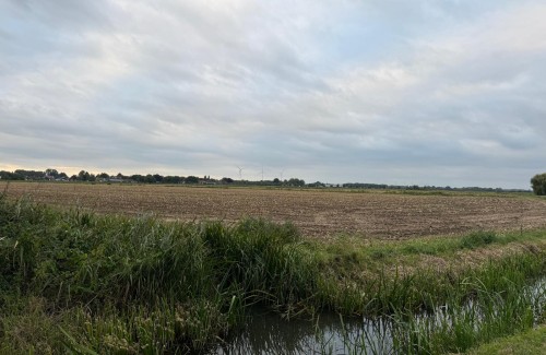 Statenlid Anton van Straten (50PLUS) hekelt besluitvorming: dwangsommen wegens scheuren van grasland